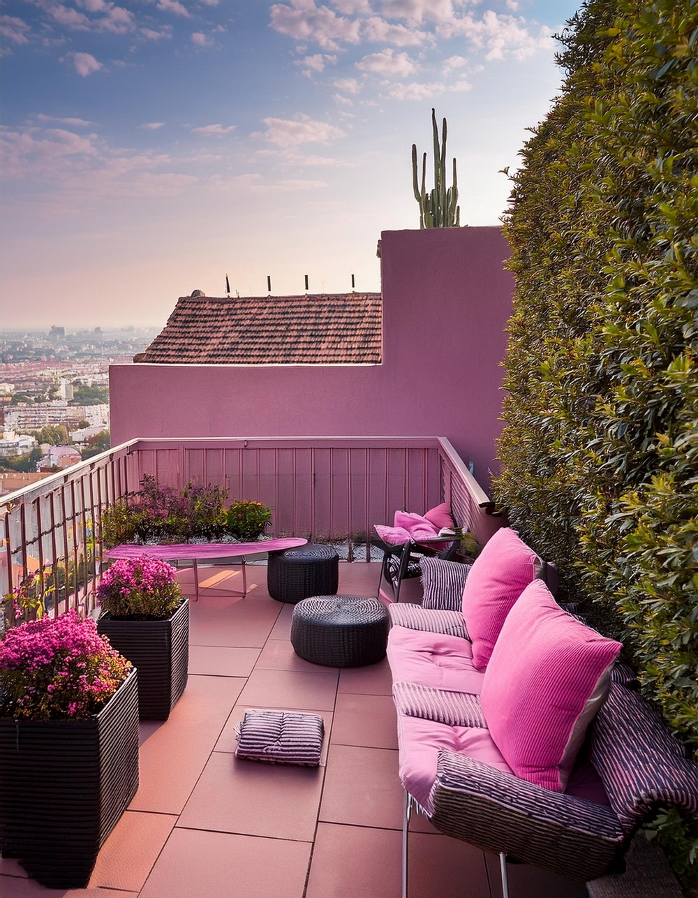 Rooftop Oasis