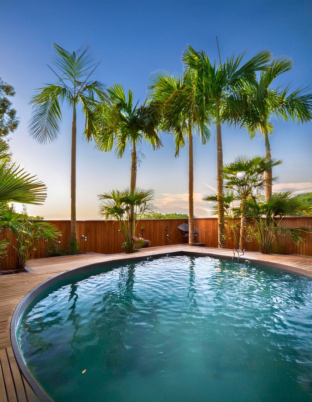 Tropical Palm Tree Grove