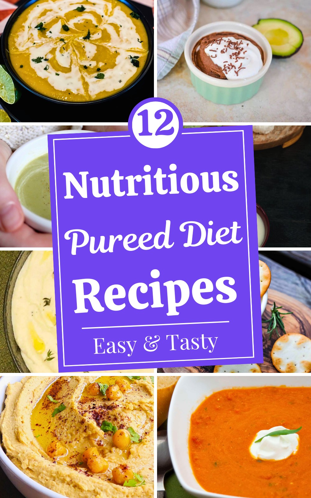 12 Delicious and Nutritious Pureed Diet Recipes