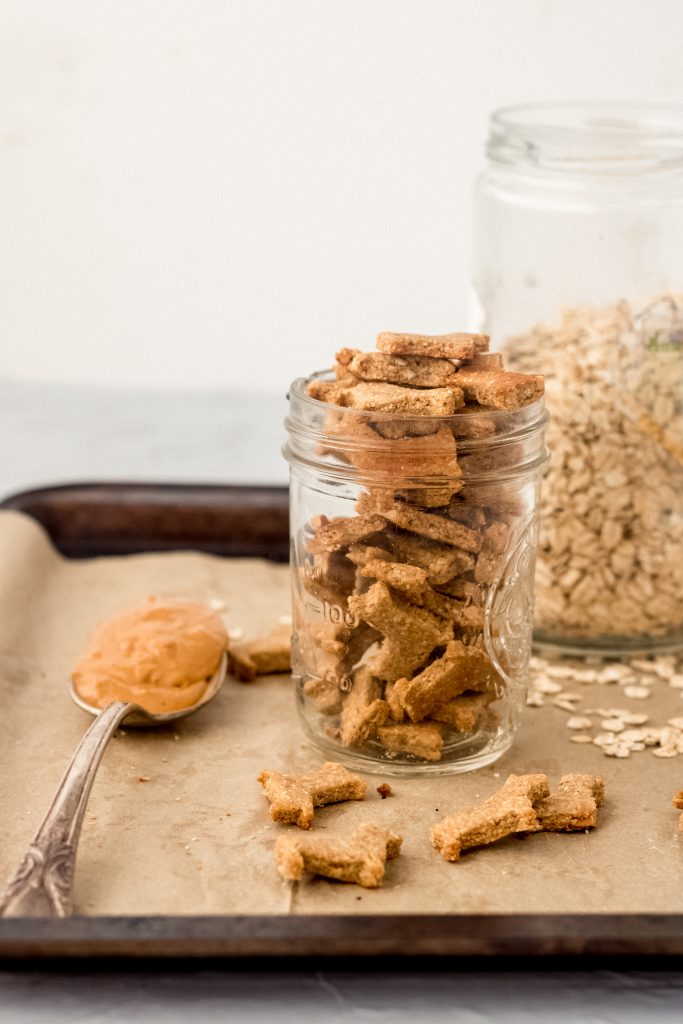 3-Ingredient Dog Treats 