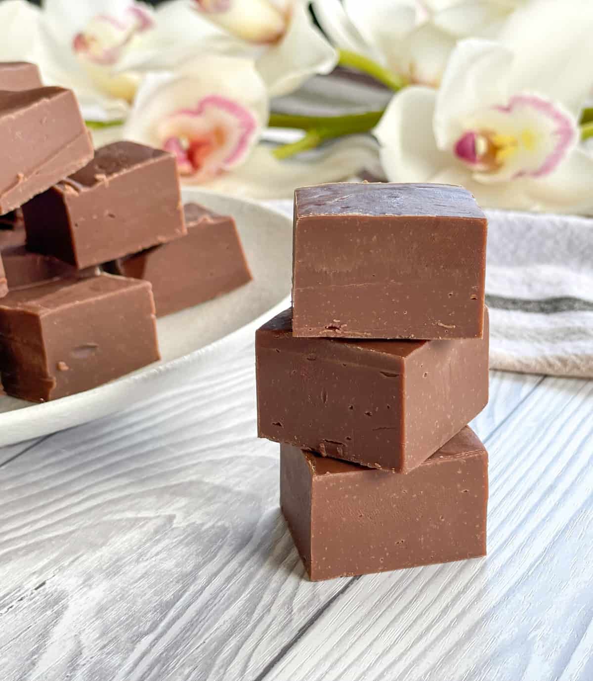 3 Ingredient Milk Chocolate Fudge 