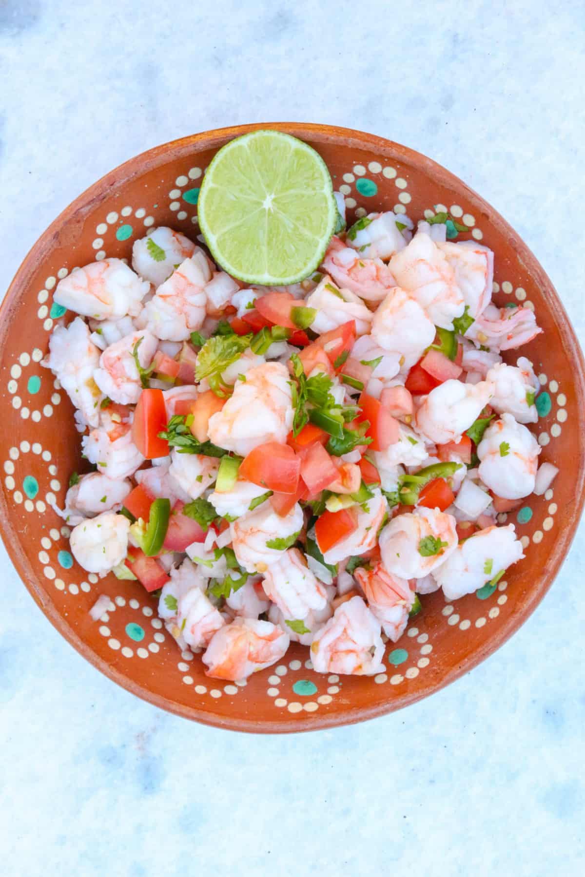 Ceviche De Camaron