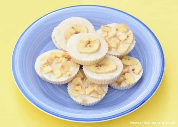 Frozen Banana Yoghurt Bites