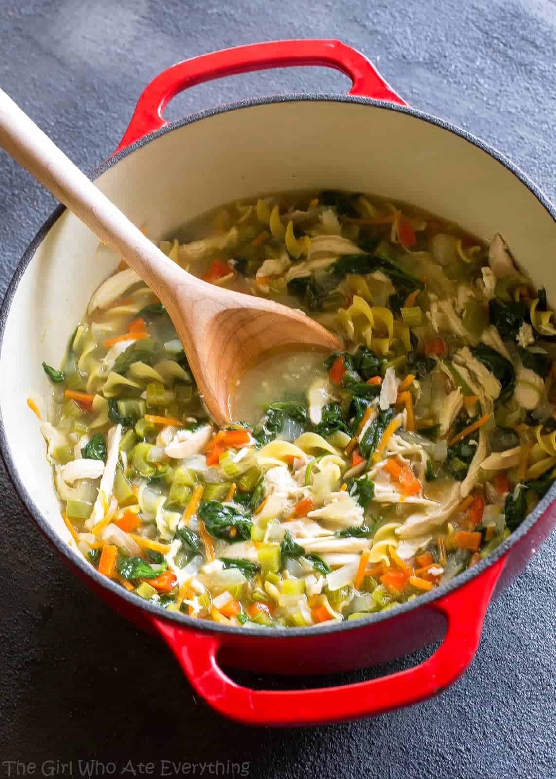 Healthy Vegetable Chicken Soup