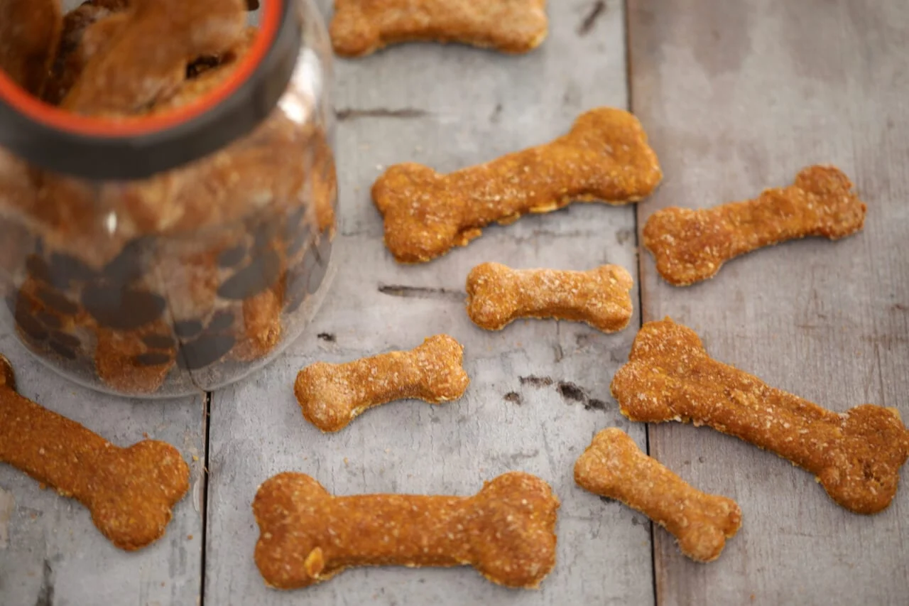 Homemade Dog Biscuits (Pumpkin & Peanut Butter) 