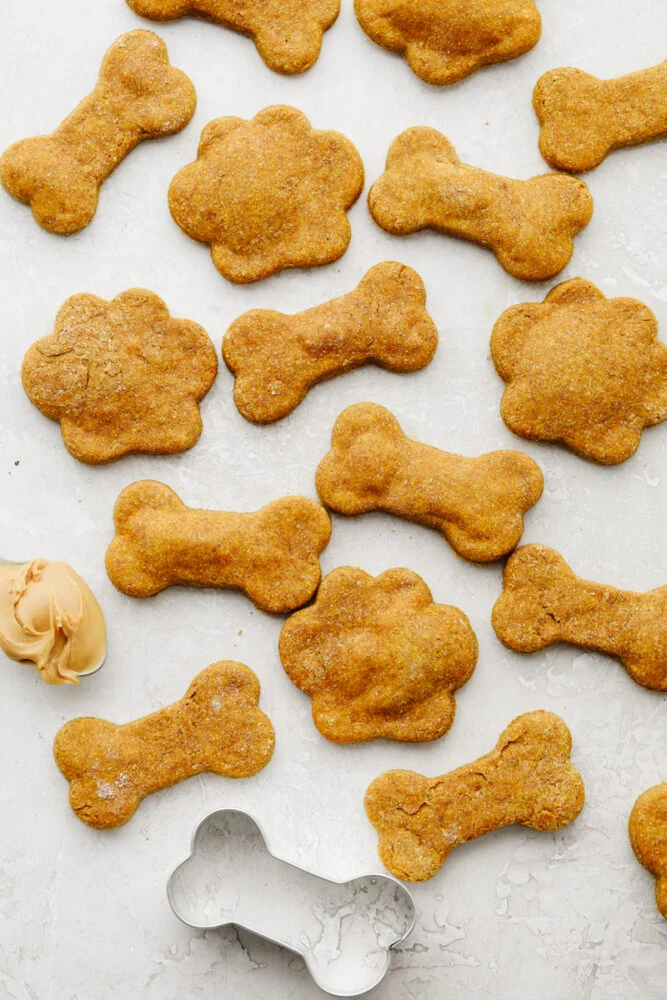 Homemade Dog Treats 