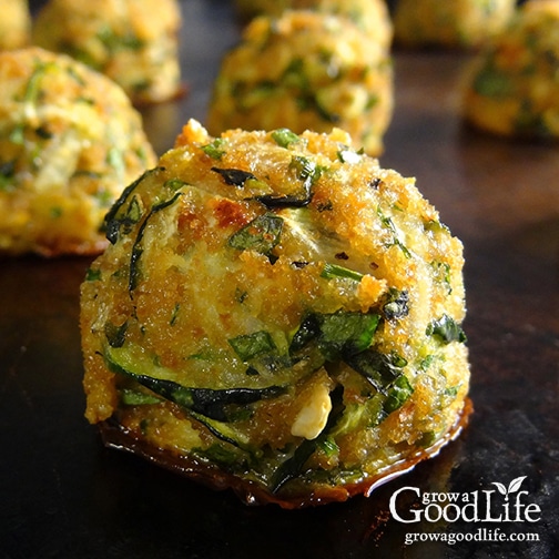 Zucchini Garlic Bites