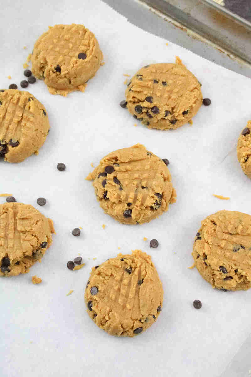 Peanut Butter Chocolate Chip Protein Cookies