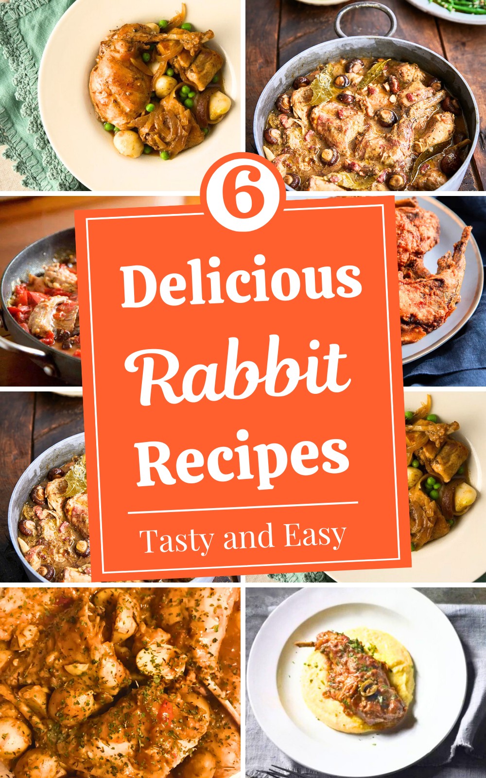 6 Tasty and Easy Rabbit Recipes